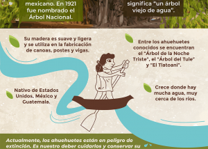 infografía