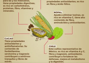 infografía