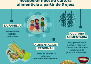 alimentación